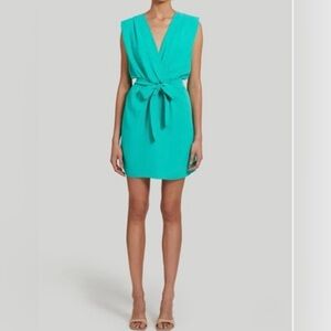 Amanda Uprichard Lamarca Dress in the color Serpentine Turquoise